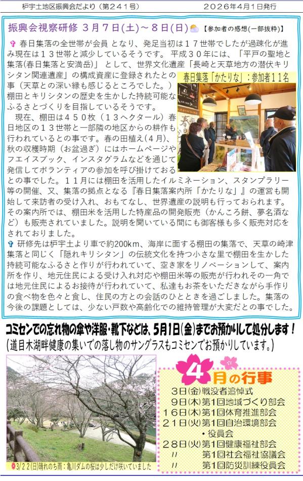 241号-2